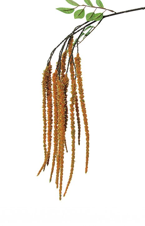 Hanging Amaranthus Spray, 37.5in, Orange