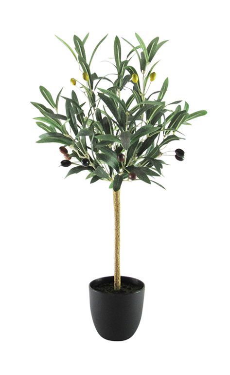 Petite Olive Tree Potted w Fruits, 24in, Green